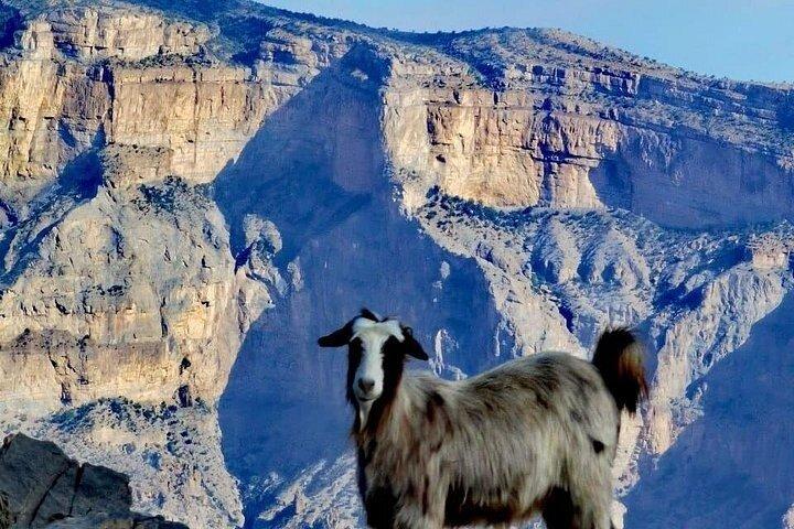 Oman Jebel Shams Private 4WD turoplevelse
