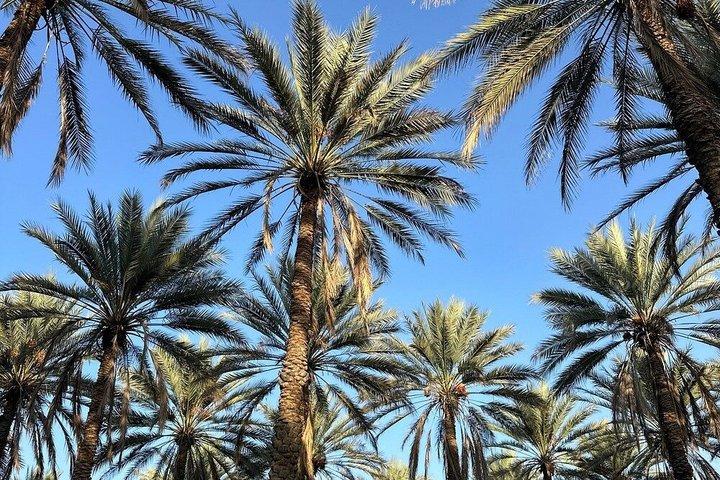 Private 4-Day, 3-Night Oman Roundtrip Adventure