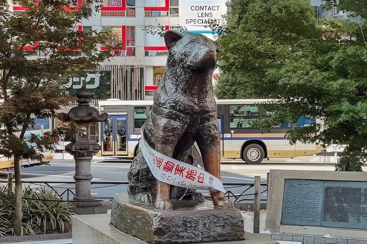 東京プライベート浅草の遺産浅草寺と地元文化