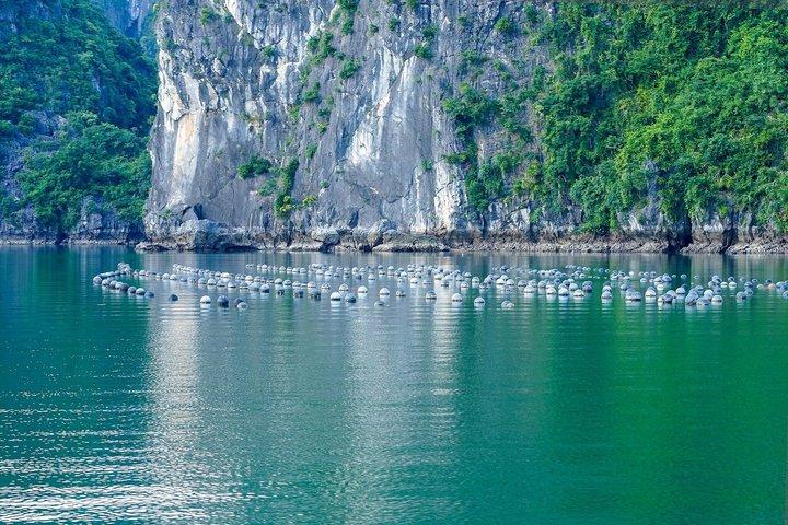 ハロン湾＆ニンビン文化遺産エスケープ：3日間2泊