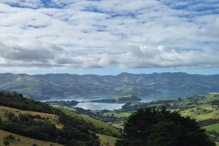 From Christchurch Akaroa and Banks Peninsula Private Tour