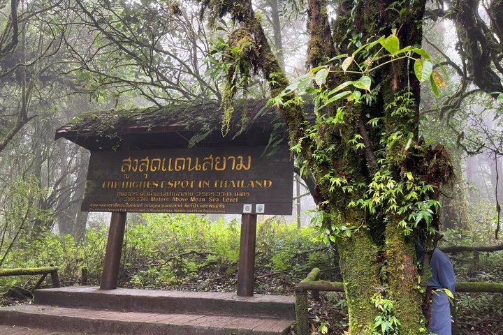 ドイ・インタノン国立公園のエコフレンドリーな一日ツアー