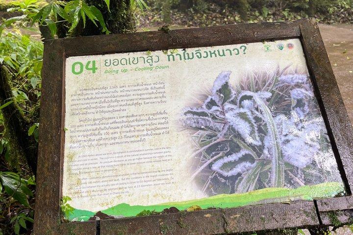 ドイ・インタノン国立公園のエコフレンドリーな一日ツアー