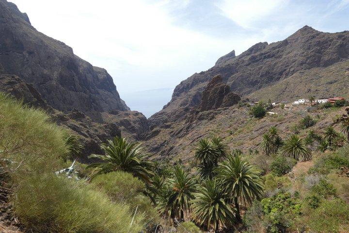 北テネリフェ島: マスカ、ロス サイロス、ガラチコ、イコッド
