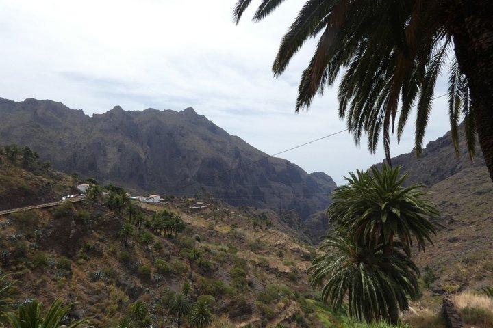 北テネリフェ島: マスカ、ロス サイロス、ガラチコ、イコッド