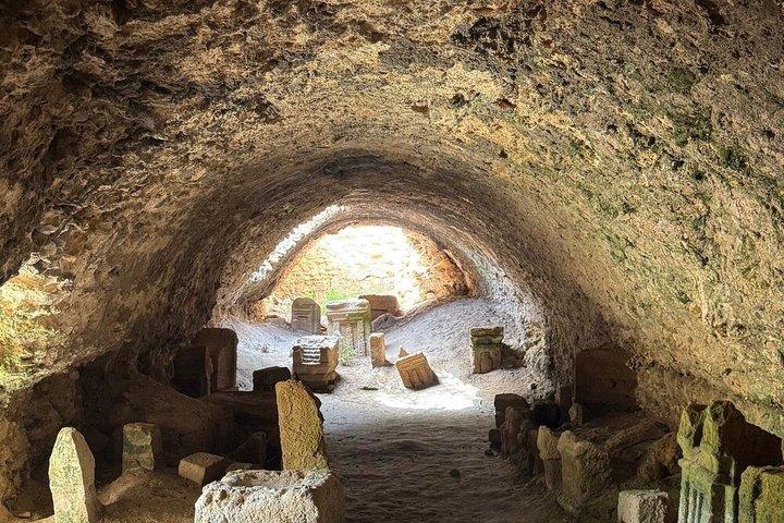 Carthage and Sidi Bou Said Tour