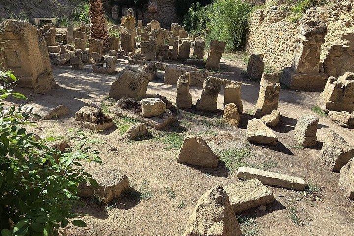 Carthage and Sidi Bou Said Tour