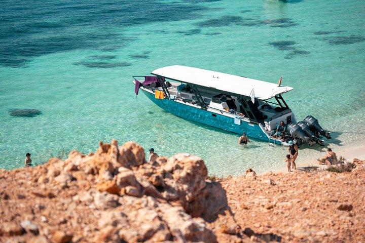 Snorkelavontuur naar Daymaniat-eilanden
