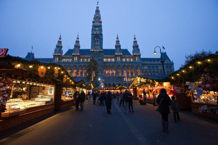 ウィーンのクリスマスイルミネーションでの地元フォトグラファーとの写真撮影