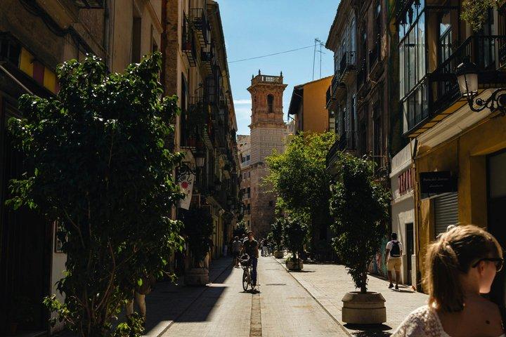 Valencia Private Walking Tour with Official Valencian Guide