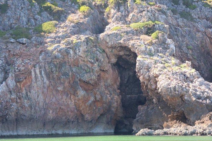 ロタ・ヴィセンティーナ ラゴスからサグレスへの海岸ボートアドベンチャー