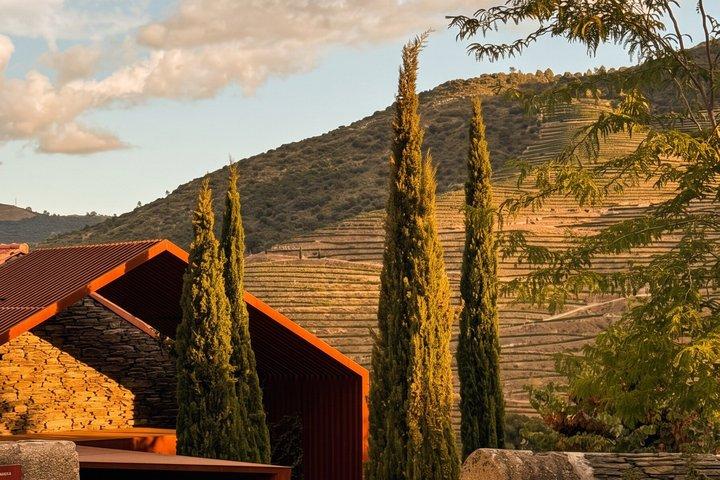 Douro Valley Private — ランドローバー・アクセス、エステート＆ワイン