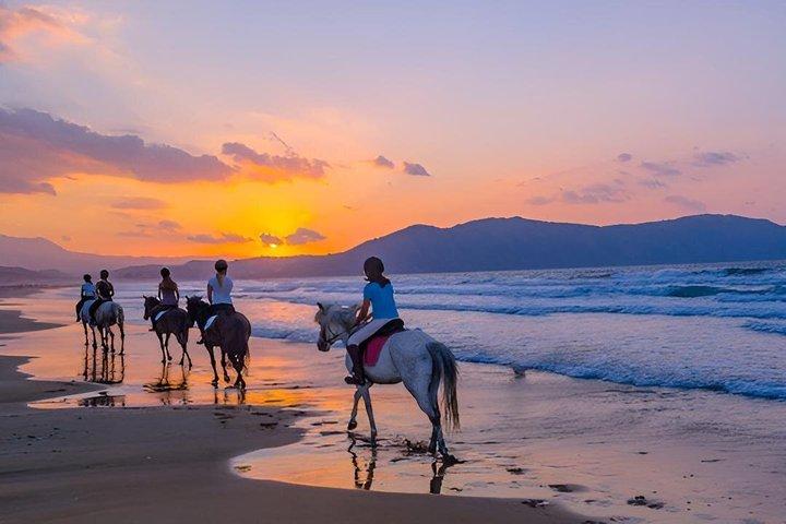 Pferdereiten am Taghazout Beach (Morgen oder Sonnenuntergang)
