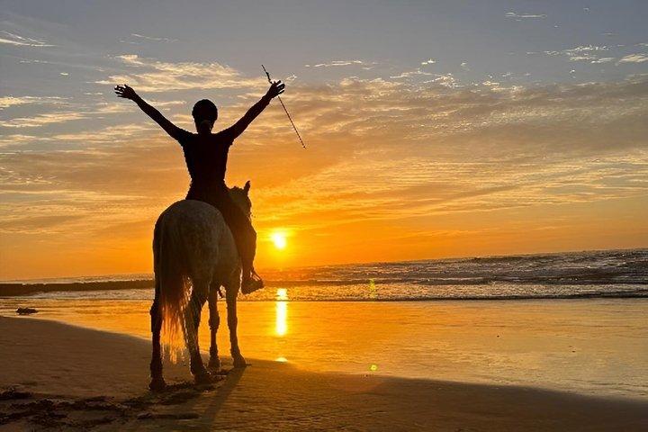 Pferdereiten am Taghazout Beach (Morgen oder Sonnenuntergang)