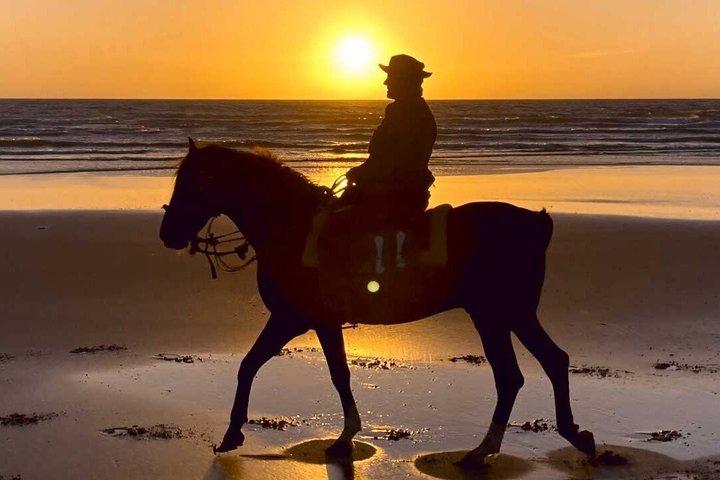 Pferdereiten am Taghazout Beach (Morgen oder Sonnenuntergang)