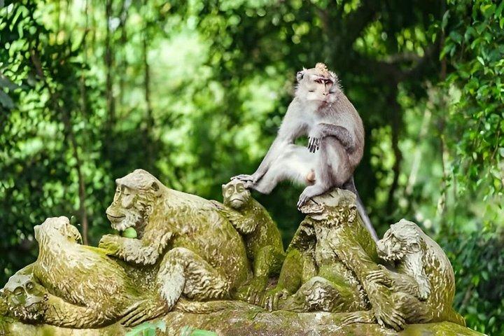 ウブドの隠れた名所ツアー 自然の村々と地元生活