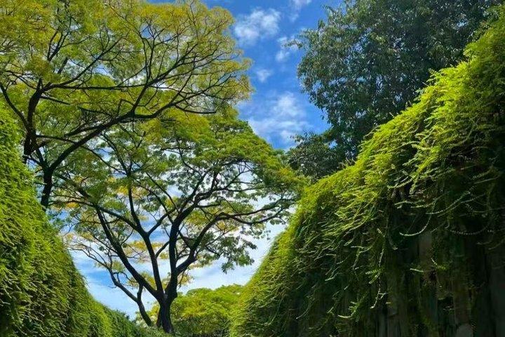 シンガポール夜のツアー フォートキャンニング公園とフードストリート