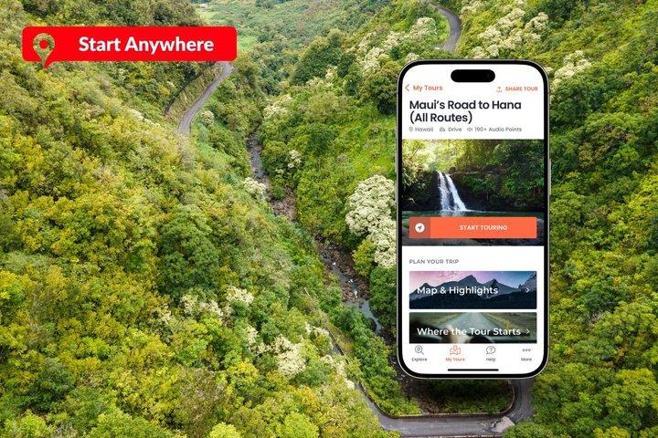 Tour audioguidato: strada per Hana, Maui