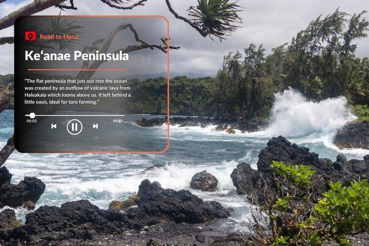 Tour audioguidato: strada per Hana, Maui