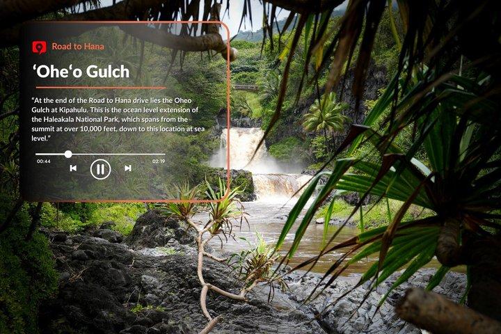 Tour audioguidato: strada per Hana, Maui