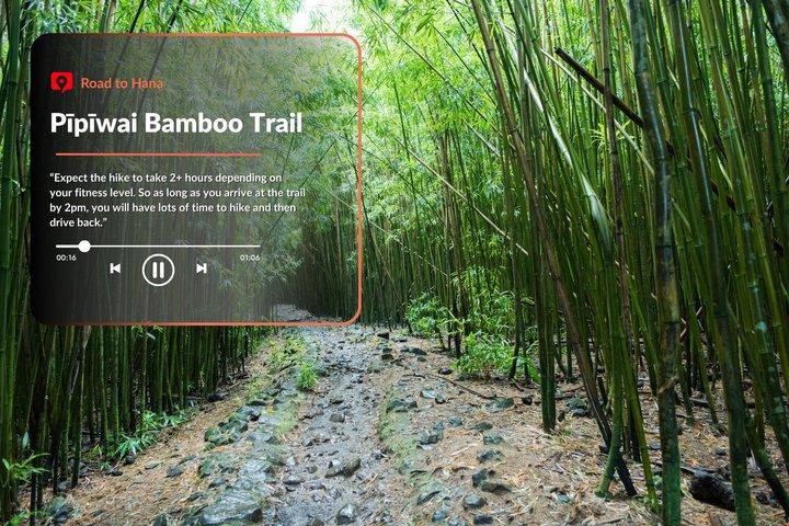 Tour audioguidato: strada per Hana, Maui