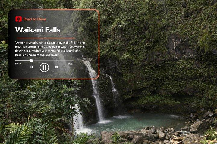 Tour audioguidato: strada per Hana, Maui