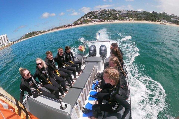 Addo to Cape Town: Safari, Plettenberg Bay and Garden Route