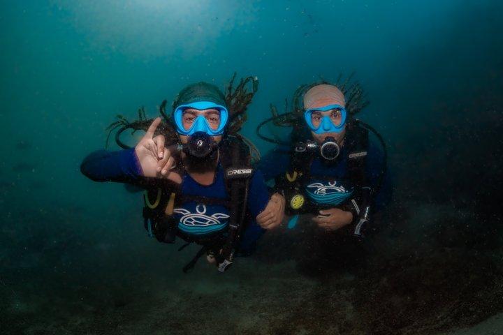 Scuba diving in Arraial do Cabo Photos and videos