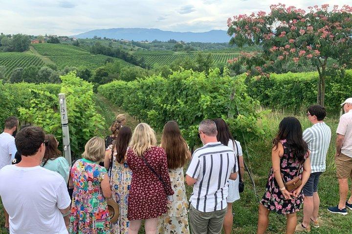 Visite privée tout compris des collines Prosecco - 2 vignobles et déjeuner.