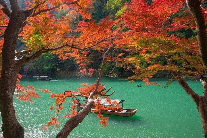 大阪発 京都日帰りツアー：桂寺、嵐山＆金閣寺