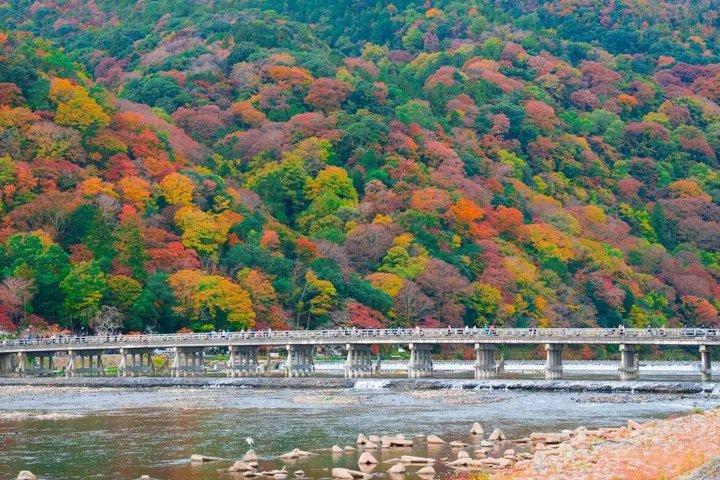 大阪発 京都日帰りツアー：桂寺、嵐山＆金閣寺