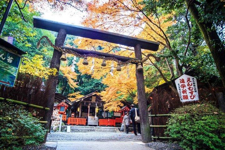 Kyoto Day Tour from Osaka: Katsuo-ji, Arashiyama & Kinkaku-ji