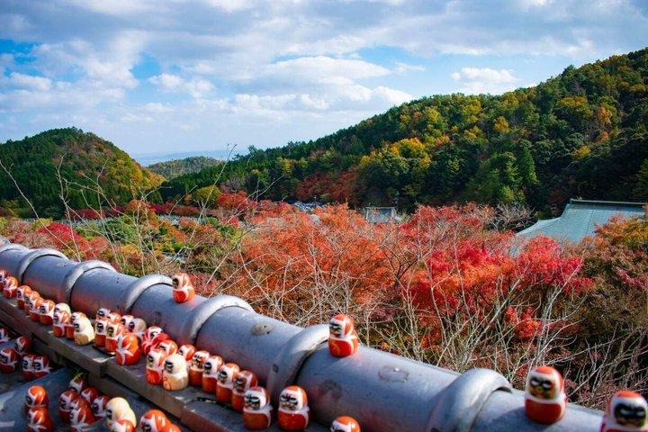 大阪発 京都日帰りツアー：桂寺、嵐山＆金閣寺