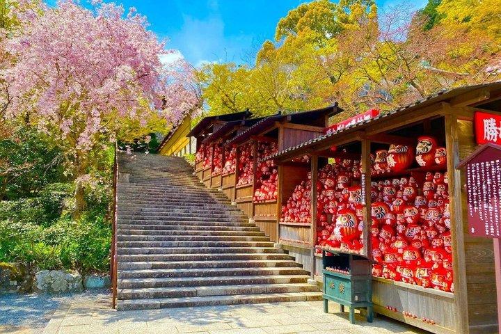 大阪発 京都日帰りツアー：桂寺、嵐山＆金閣寺