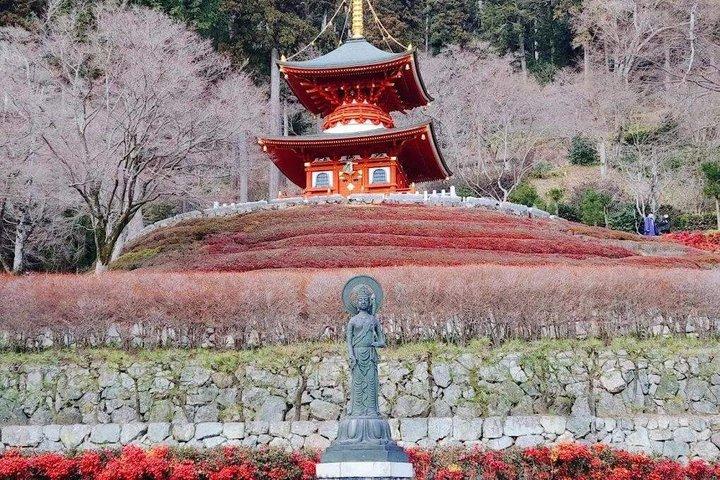 大阪発 京都日帰りツアー：桂寺、嵐山＆金閣寺
