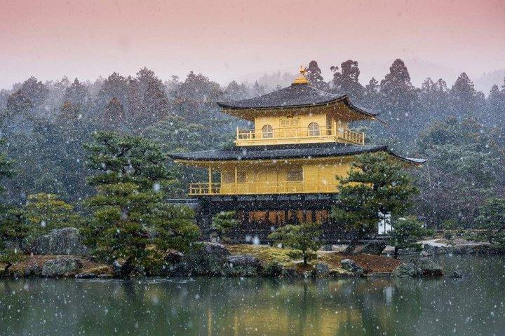大阪発 京都日帰りツアー：桂寺、嵐山＆金閣寺