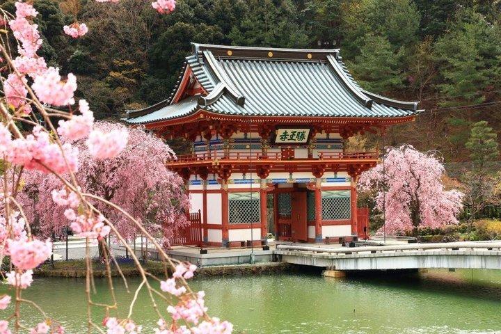 大阪発 京都日帰りツアー：桂寺、嵐山＆金閣寺