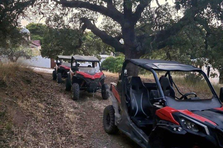 Off Road Buggy Tour Athens Adventure