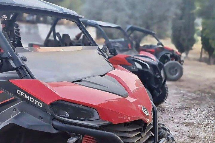 Off Road Buggy Tour Athens Adventure