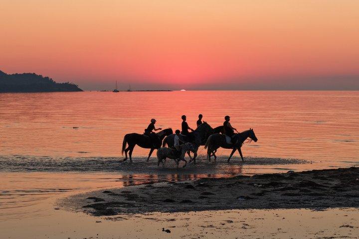 Beginner Horse Riding Experience on the Beach in Durrës