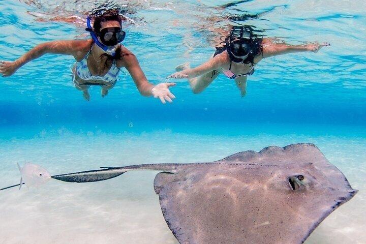 グランドケイマンのエイとヒトデ、クリスタルケイブオプション付き