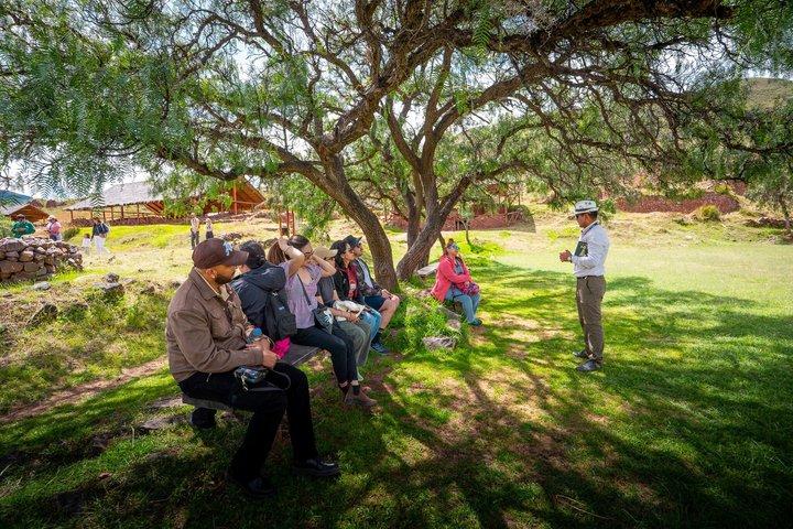 Visite privée de la vallée sud de Cusco 1 jour