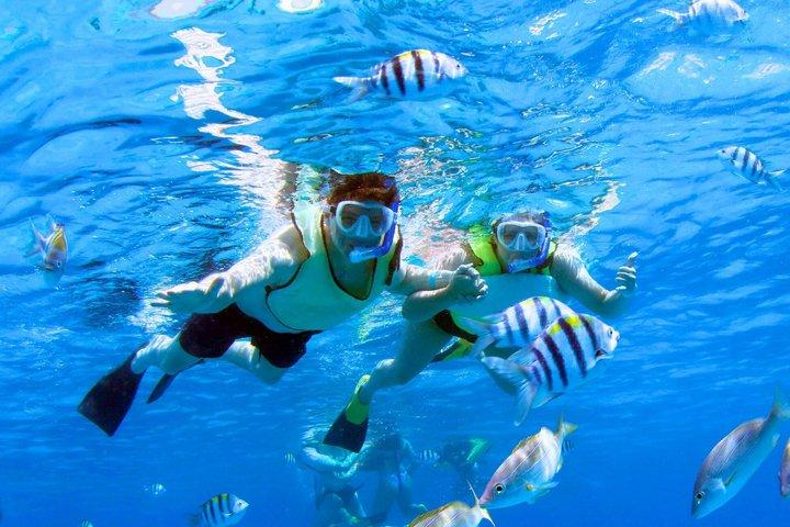 3 Zipline Adventure and 3.5 hour Afternoon Snorkel Cruise