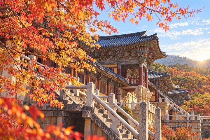 釜山または慶州からのドアツードアサービス付き慶州ユネスコ
