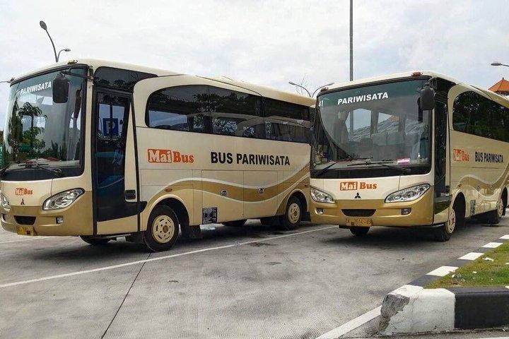 バリ空港プライベート送迎 VIP高級車、ミニバスまたは大型バス