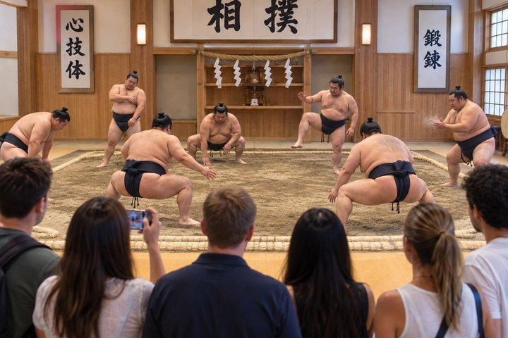 Tokyo: Authentic sumo, not a show with English Guide