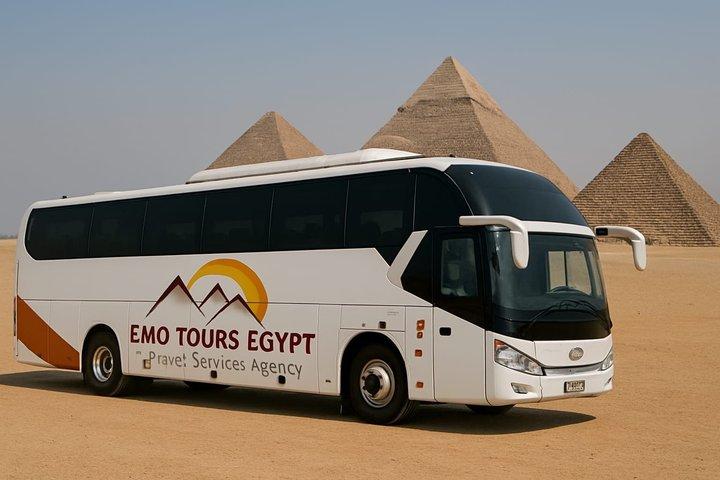 カイロ発アレクサンドリア日帰り旅行（現地ガイド付き）