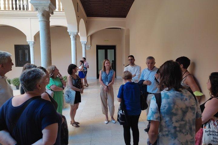 Malaga Picasso Museum Guided Tour