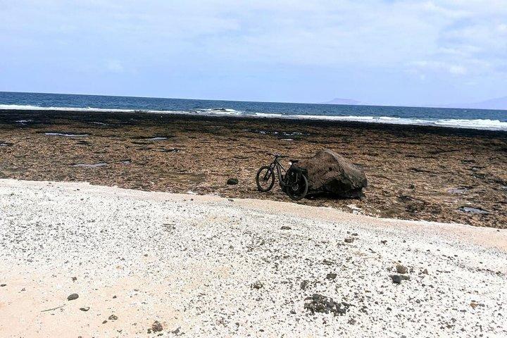 ワイルド・フエルテベントゥーラ・バランコ セルフガイドEバイクツアー