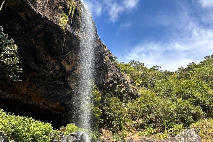 Green loop at Sept Cascades in Mauritius Hiking
